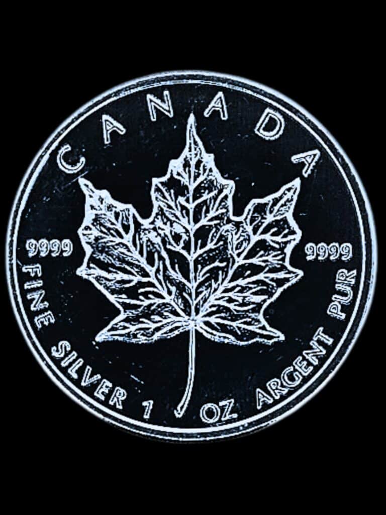 1 oz 2010 Canadian Maple Leaf Silver Coin