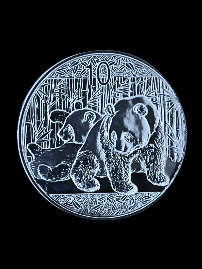 2010 CHINA PANDA 10 YUAN Bamboo TEMPLE of HEAVEN .999 Silver Proof Coin