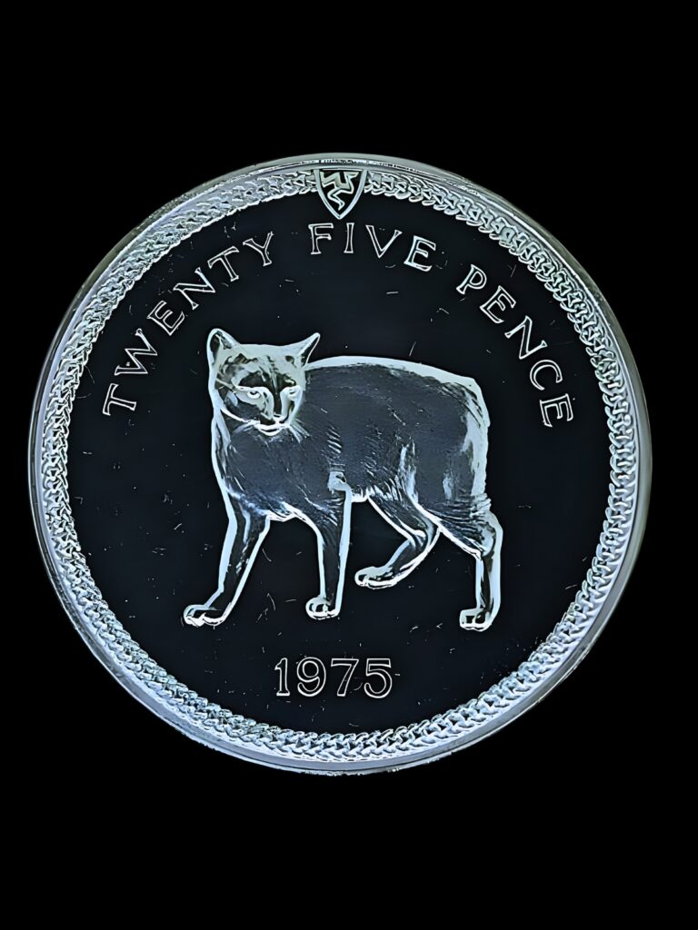 1975 Isle of Man Twenty Five Pence Silver Coin Proof Boxed Manx Cat Coin