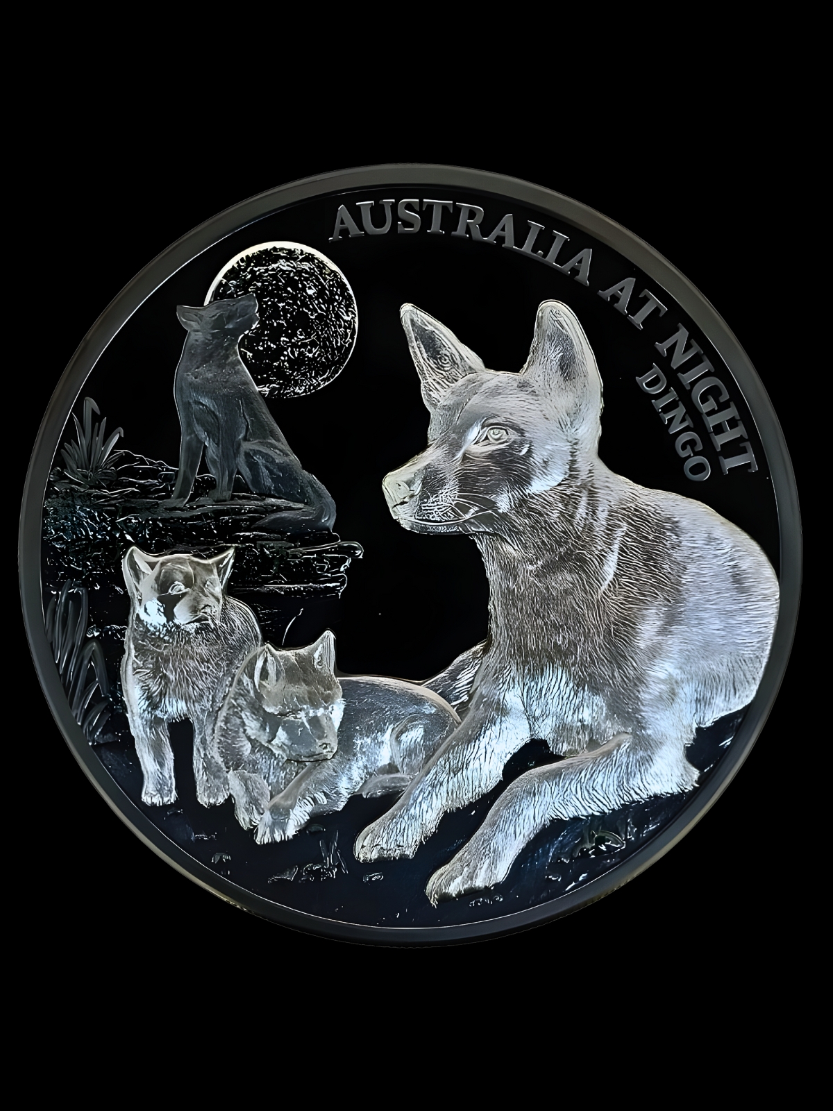 Niue 2021 Dollar Australia at Night Dingo Black Proof Coin 1oz Silver .999